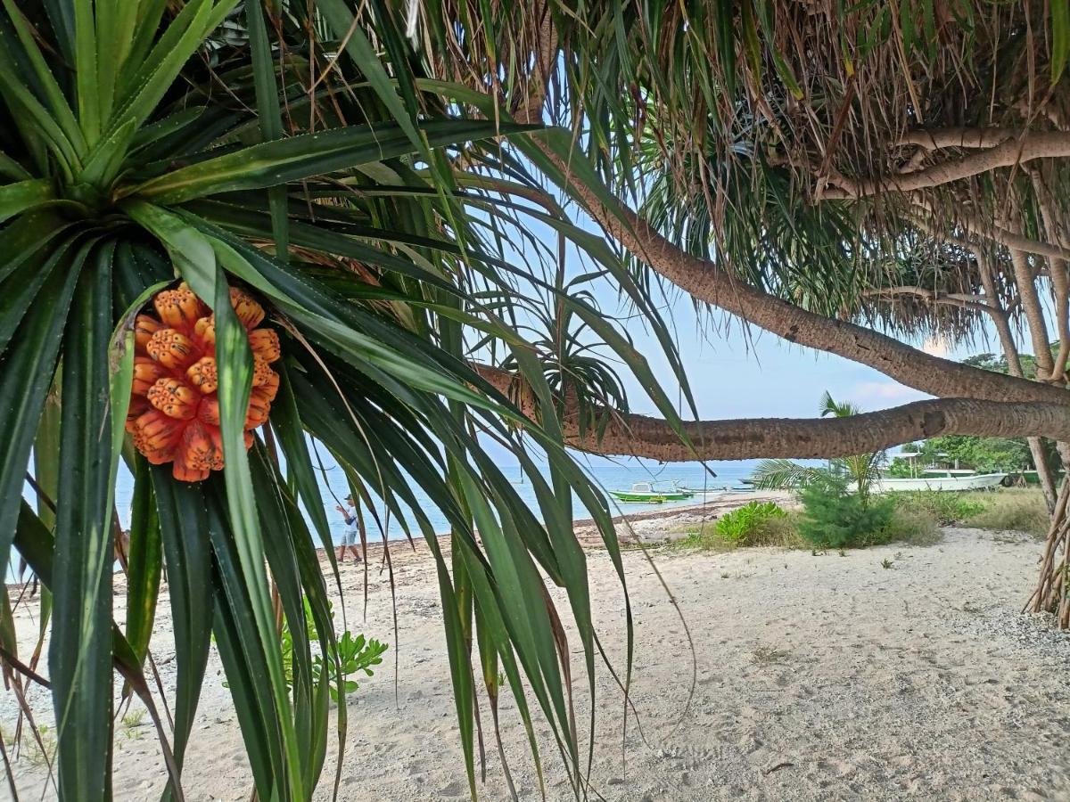 Villa Gilimakyah Gili Air Bagian luar foto